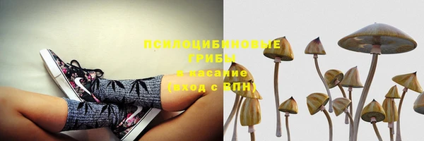 кокс Алексеевка