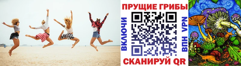 Псилоцибиновые грибы мухоморы  купить наркотик  Чадан 