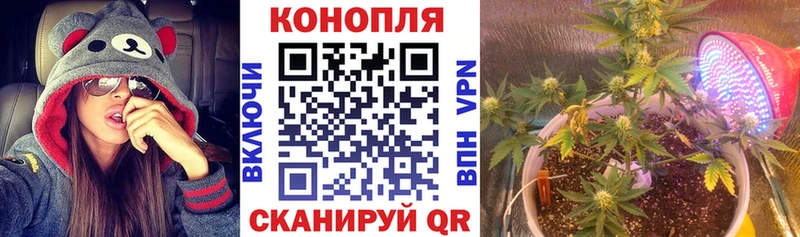 купить наркоту Чадан Канабис THC 21%